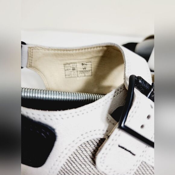 SAS Conga - Picture 12 of 12